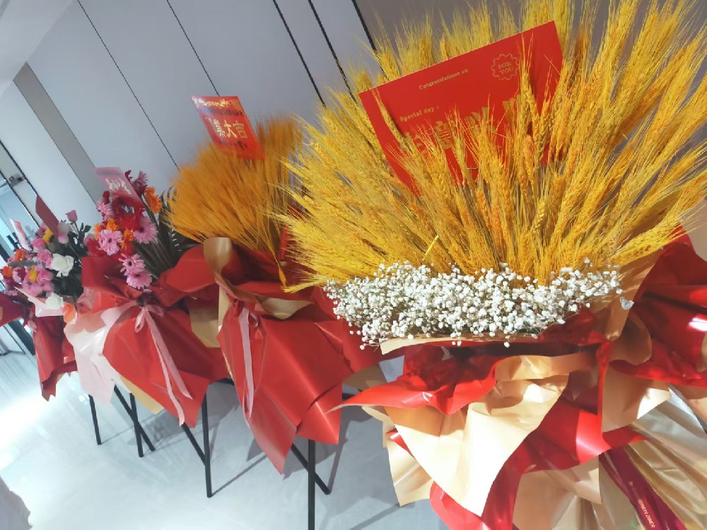 山東潤(rùn)航供應(yīng)鏈有限公司青島分公司喬遷大吉！